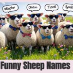 Group of fluffy sheep wearing colorful bow ties and sunglasses, standing in a flower-filled meadow with speech bubbles showing funny sheep names.