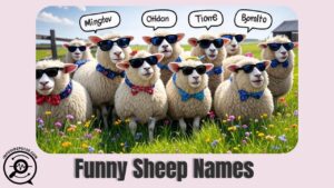 Group of fluffy sheep wearing colorful bow ties and sunglasses, standing in a flower-filled meadow with speech bubbles showing funny sheep names.