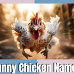 Funny Chicken Names that are clever, amusing, and creative for your flock.