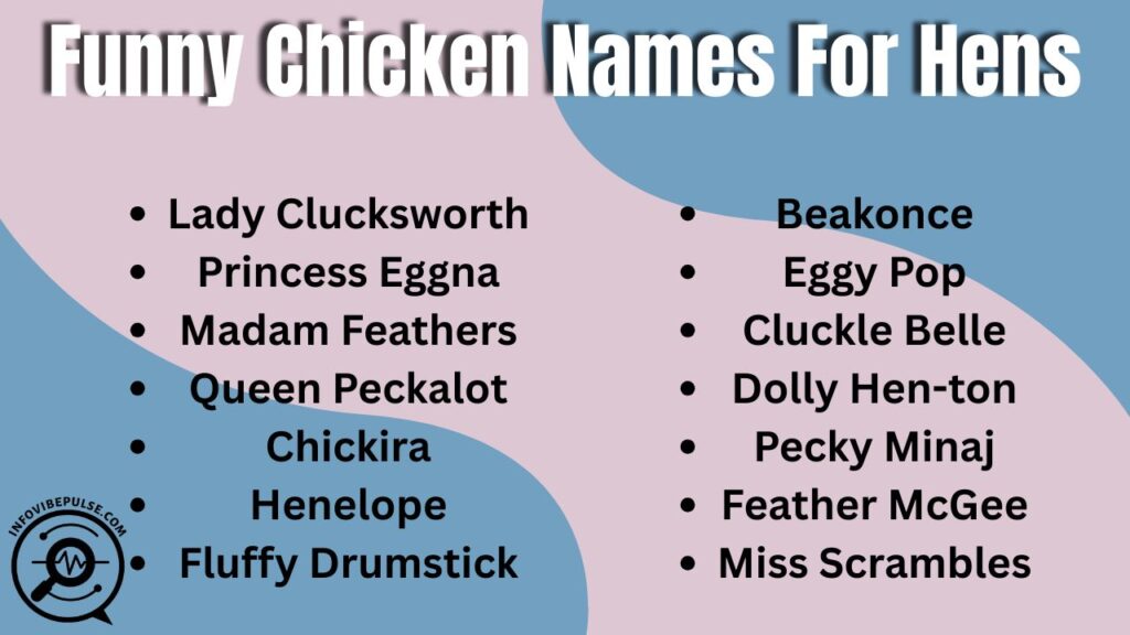 Funny Chicken Names for hens that bring humor and charm to your flock.